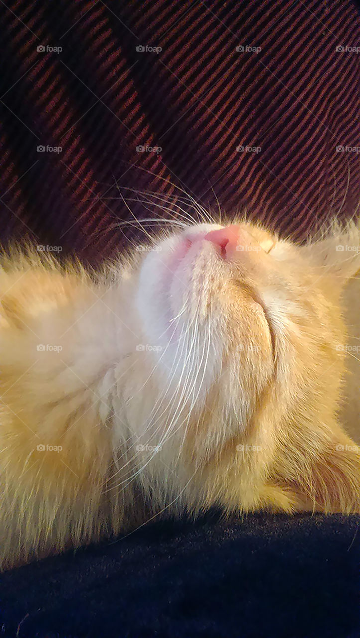 sunny boy being lazy