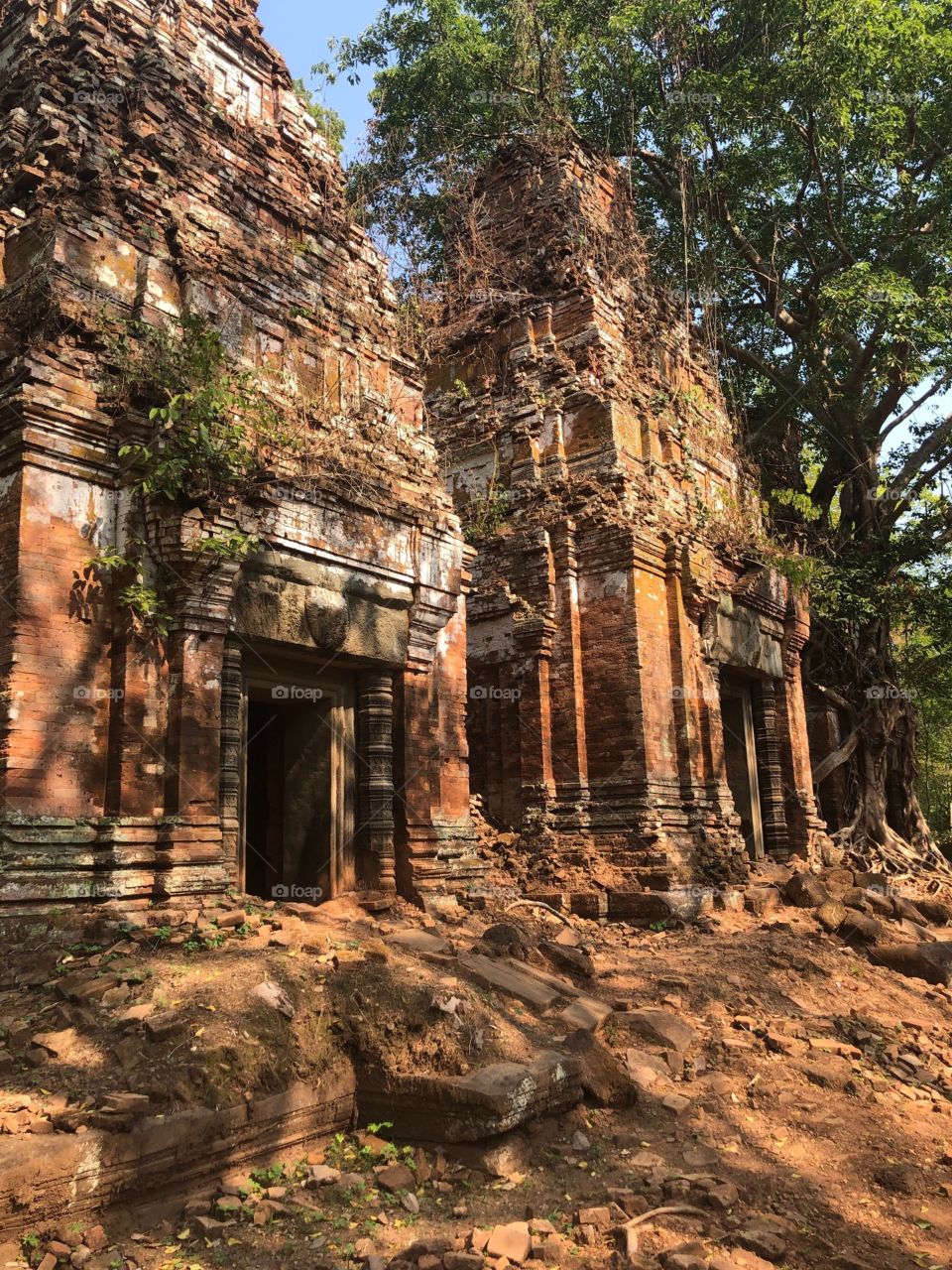 Hindu and Buddhist Ruins in The Jungle and Rainforest in Rural Cambodia. Chelsea Merkley Photography 2019. Chelsea Merkley Photos.