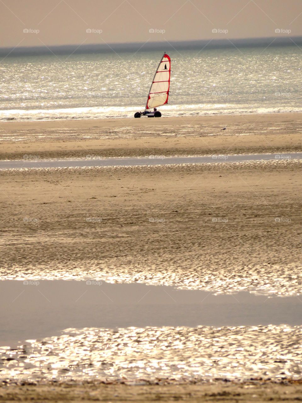 sailing in sunset