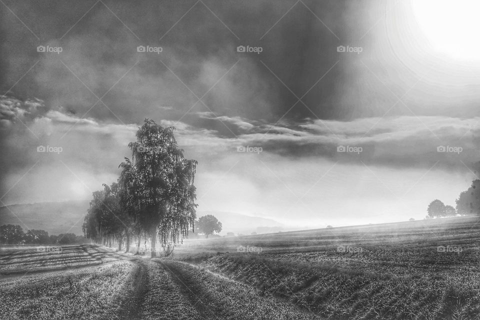 Mystik Landschaft im Nebel