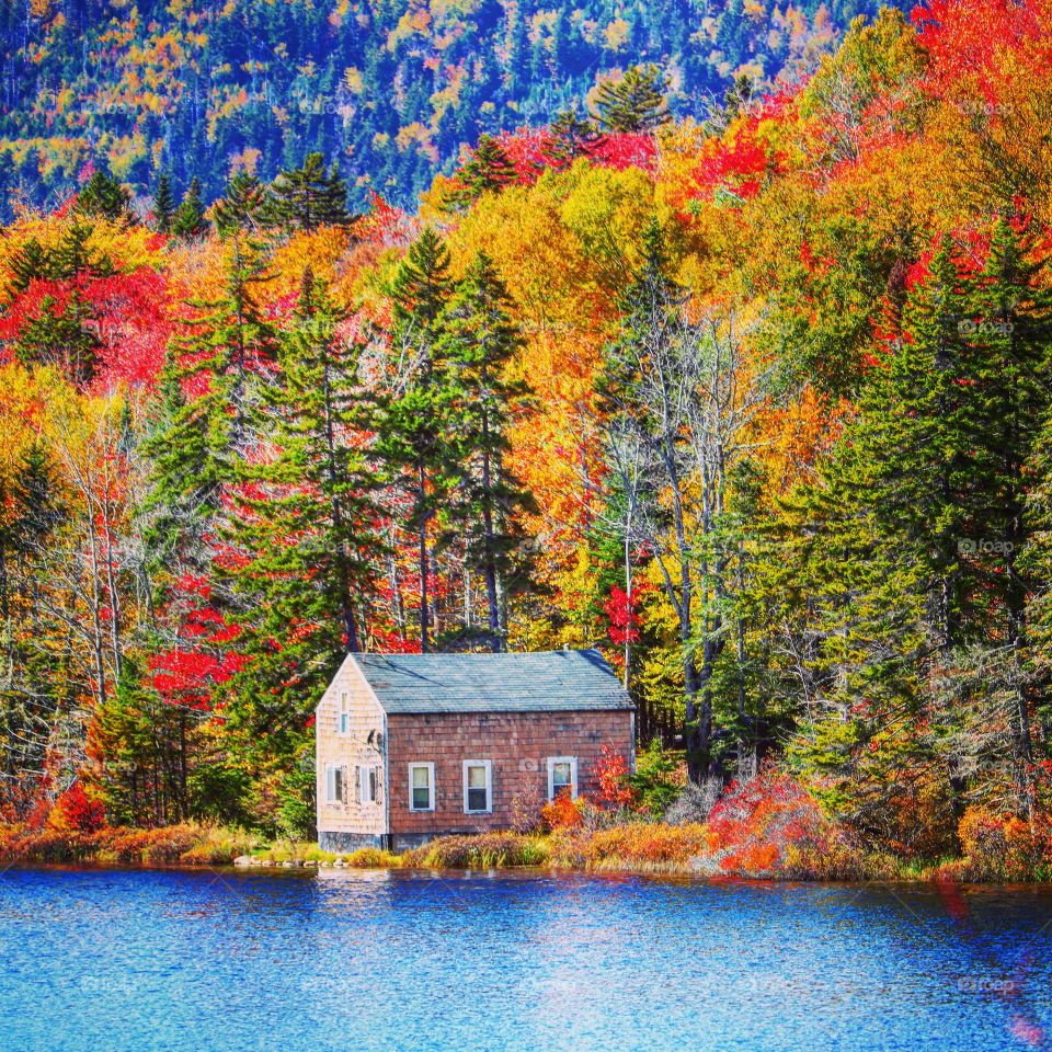 autumn at the cabin on the lake