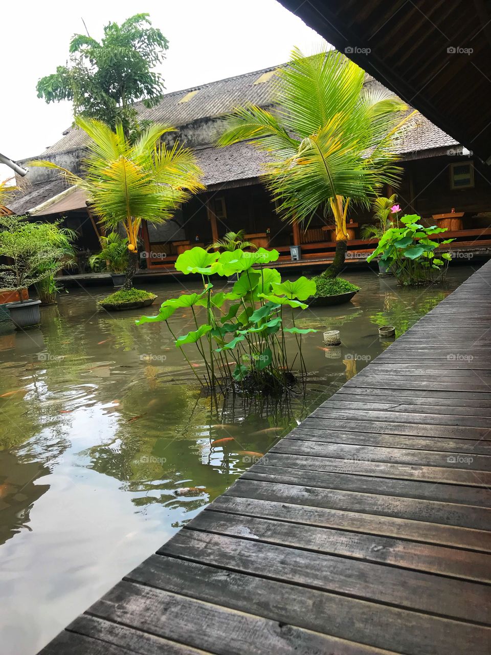 Indonseian Traditional Restaurant