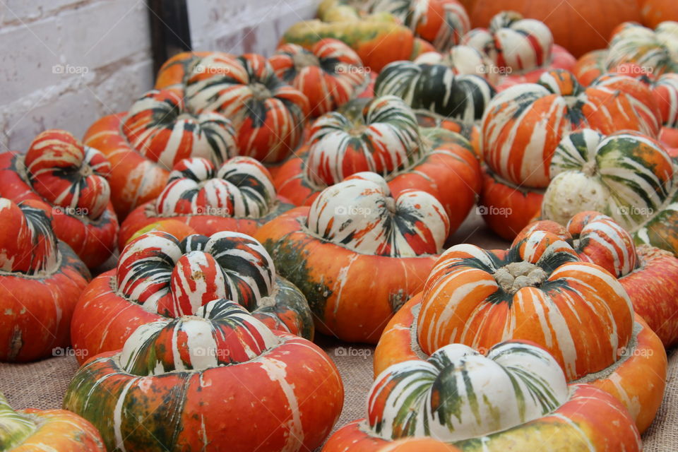 Pumpkins and squashes