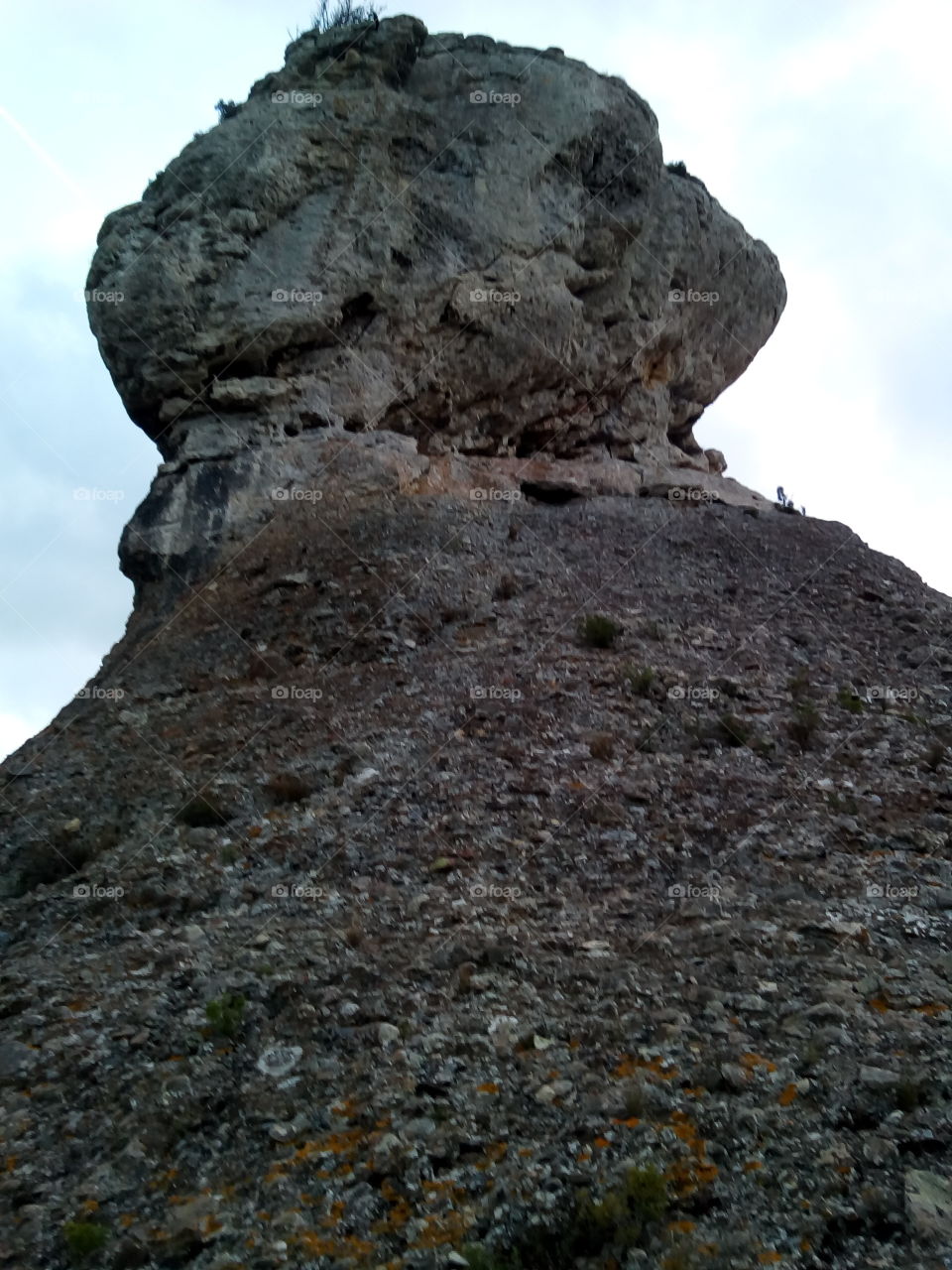 Rock , régional nature park , south France