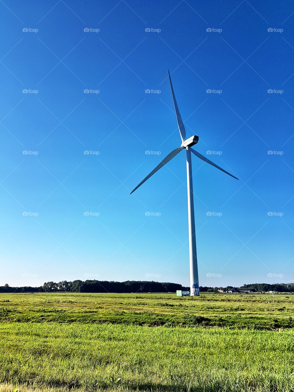 wind turbine in Holland and green field