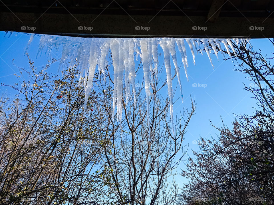 Icy fancy decorations from nature. large icicles hang.