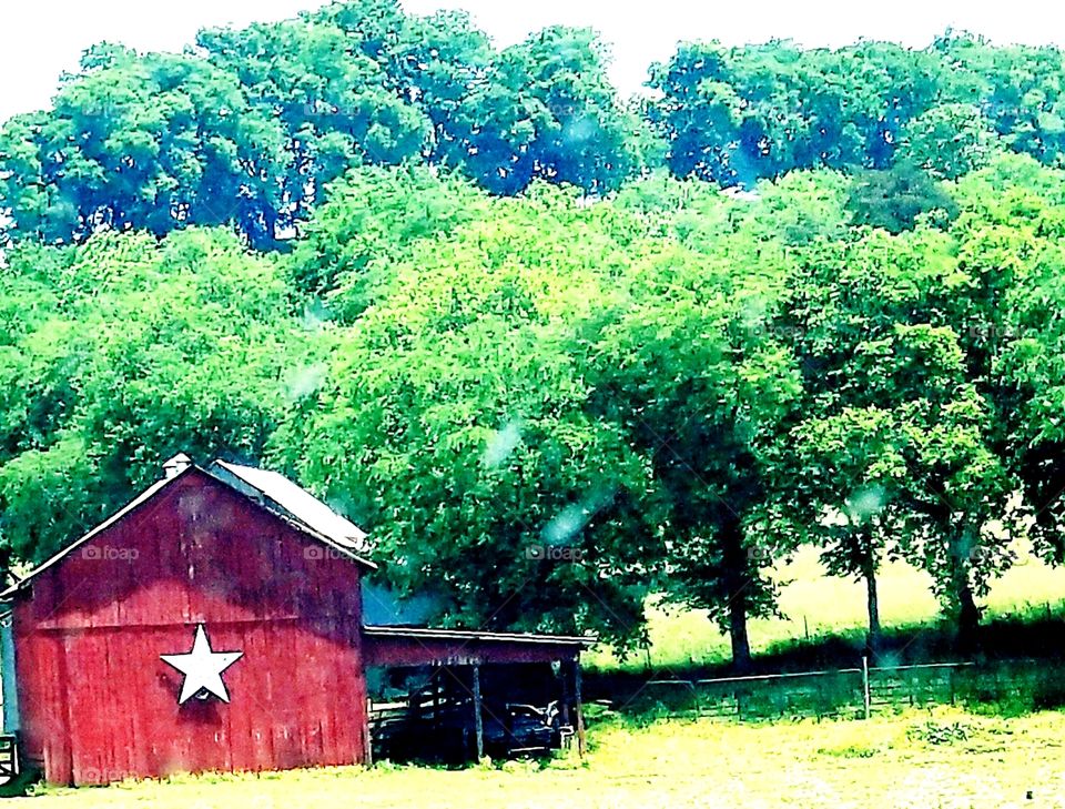 Rustic red aged barn with symbol white star set in picturesque green countryside field and blossoming trees.