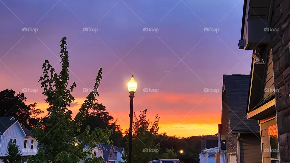 Night's sky