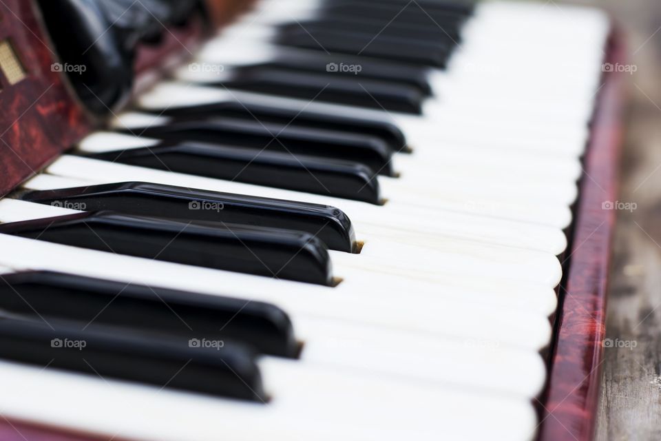 keyboard of an accordian. accordian keyboard closeup