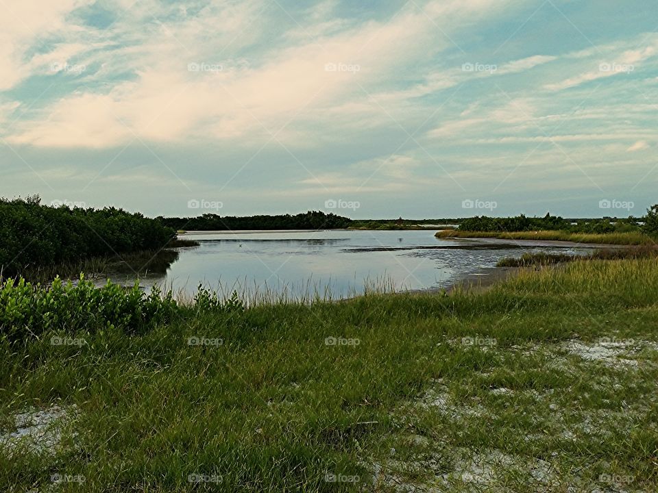 salt flat. looking out to the back Bay from north beach at Fort desoto.