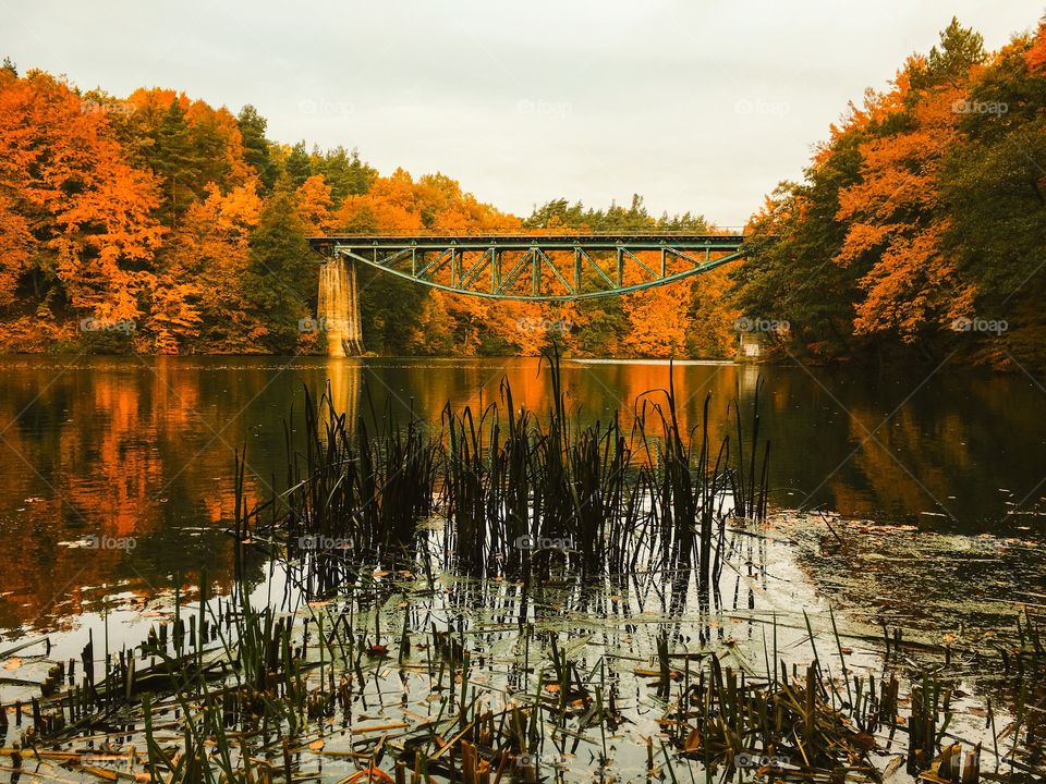 Fall, Water, River, Lake, No Person