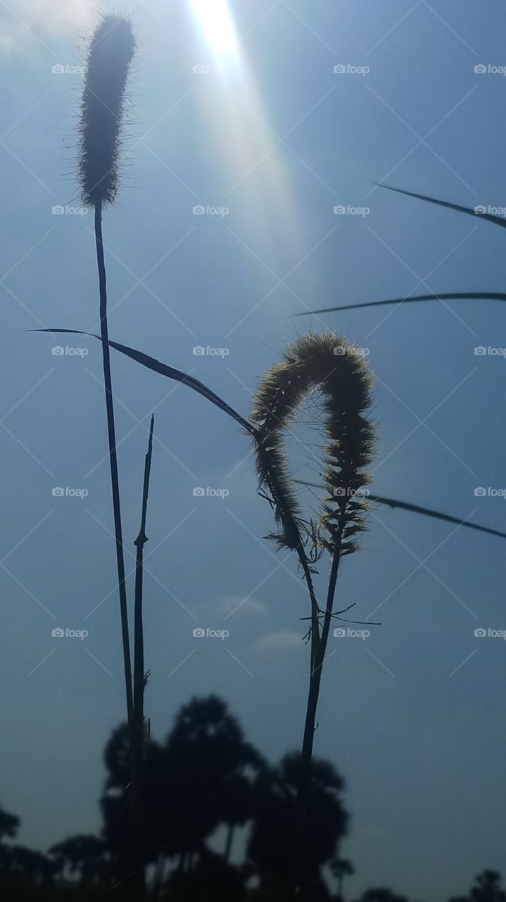 This is very very beautyfull and afternoon click