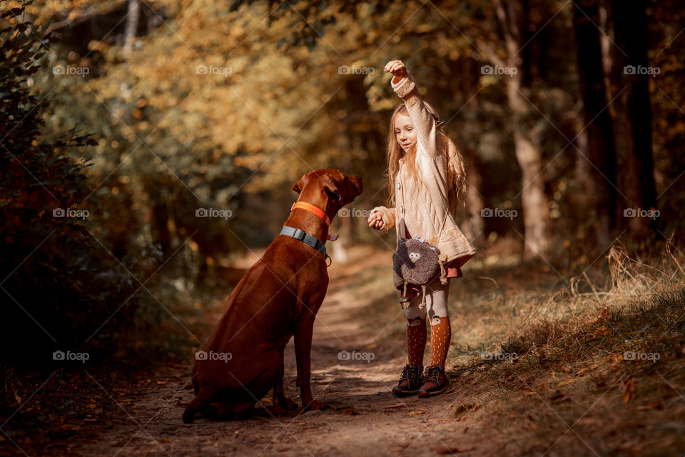 Little girl playing with dogs in an autumn park