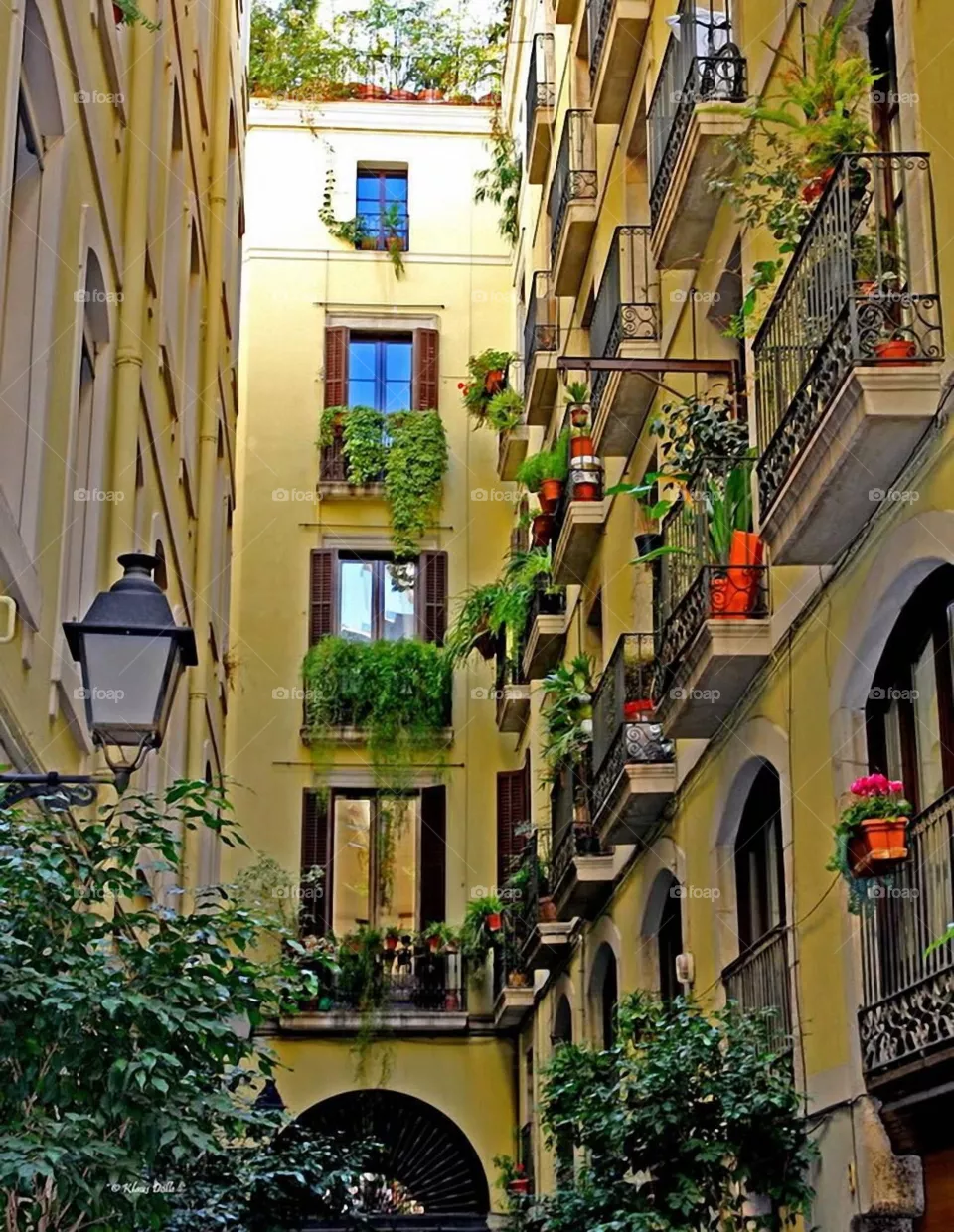 Windows 