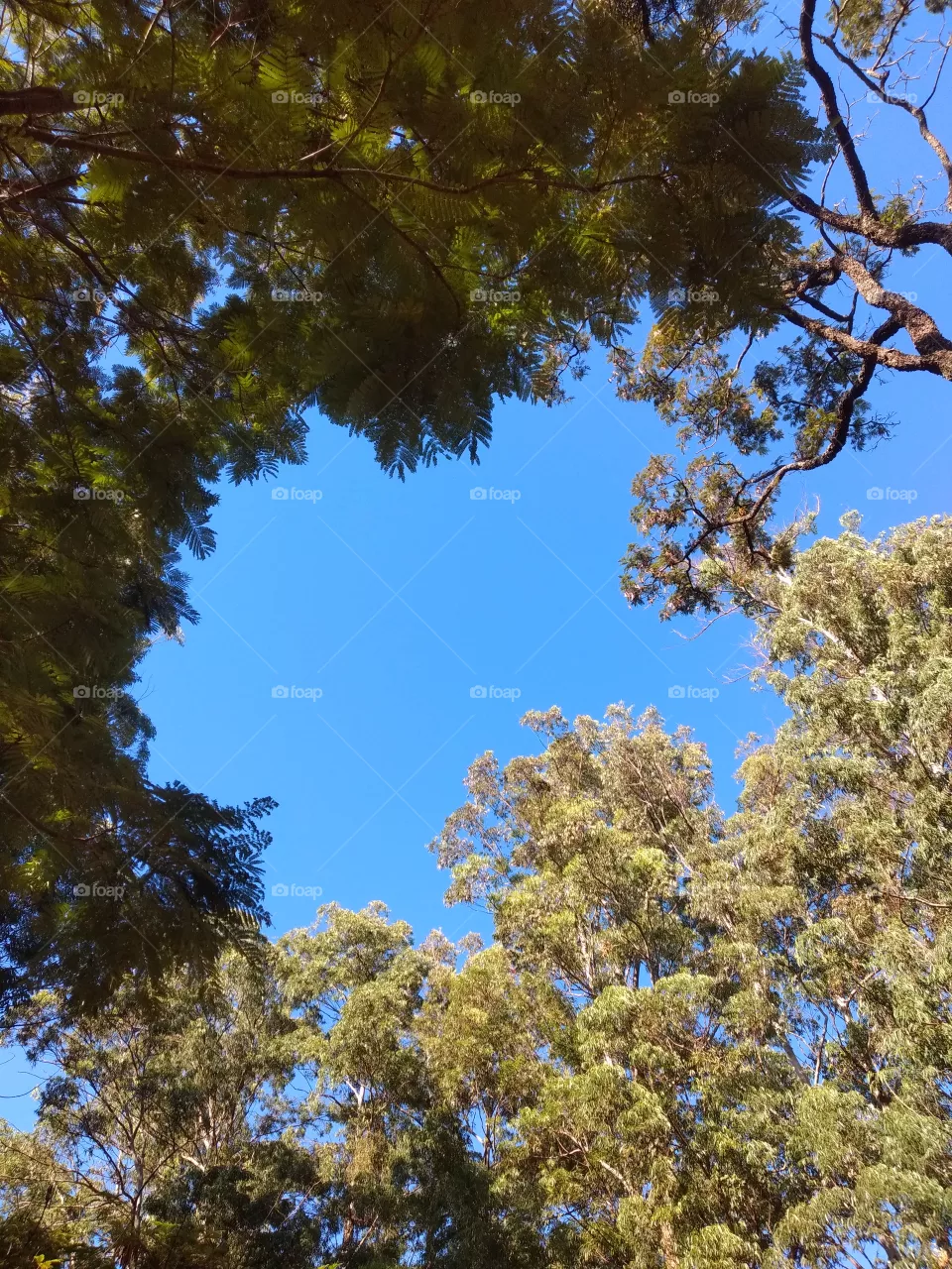 azul