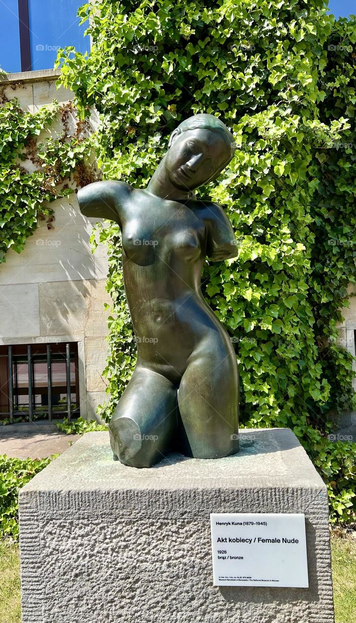 The National Museum of Warsaw was founded in 1862 and houses approximately 800,000 masterpieces of art dating back to the Middle Ages.