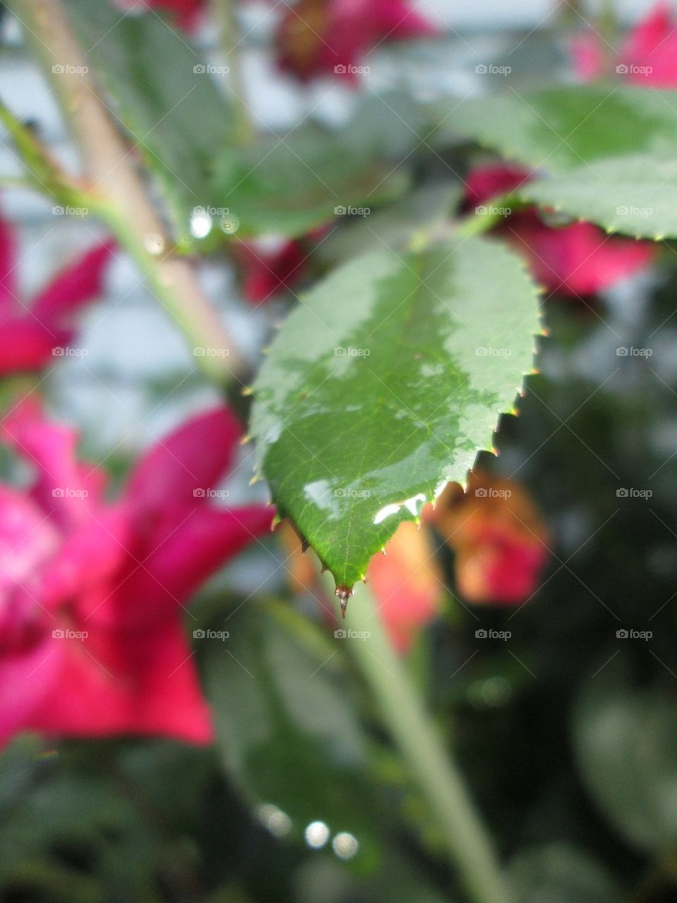 There's beauty everywhere!