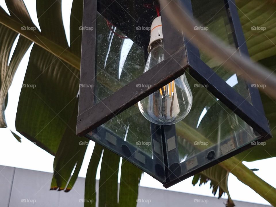 A electric lamp inside trees