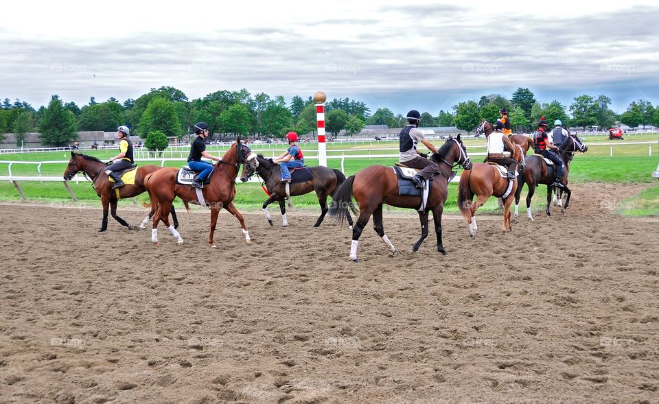 In Through the Outdoor. Turf training on the Oklahoma grass course at historic Saratoga with the nation's best fillies & colts.
Fleetphoto