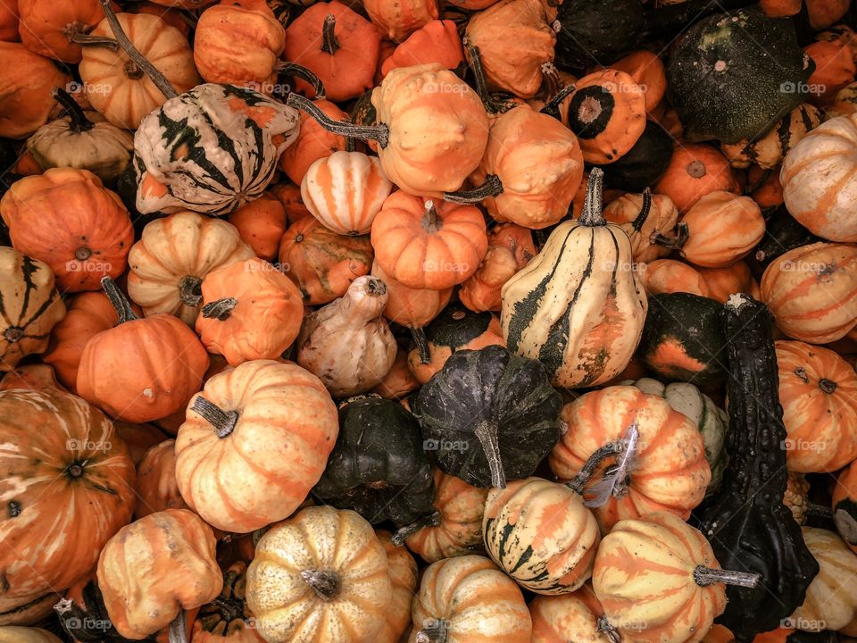 Pumpkins