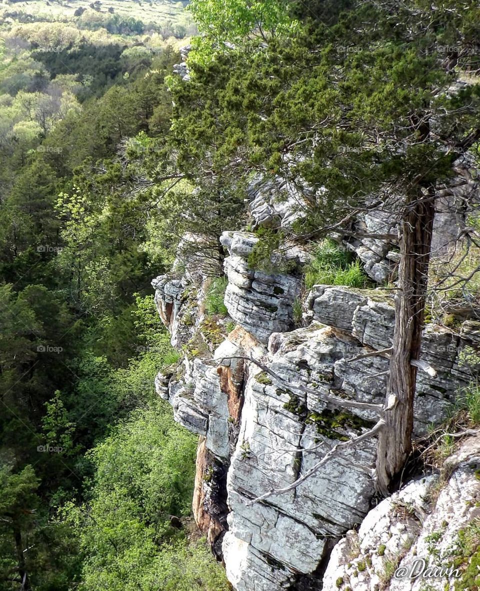 Lover's Leap
