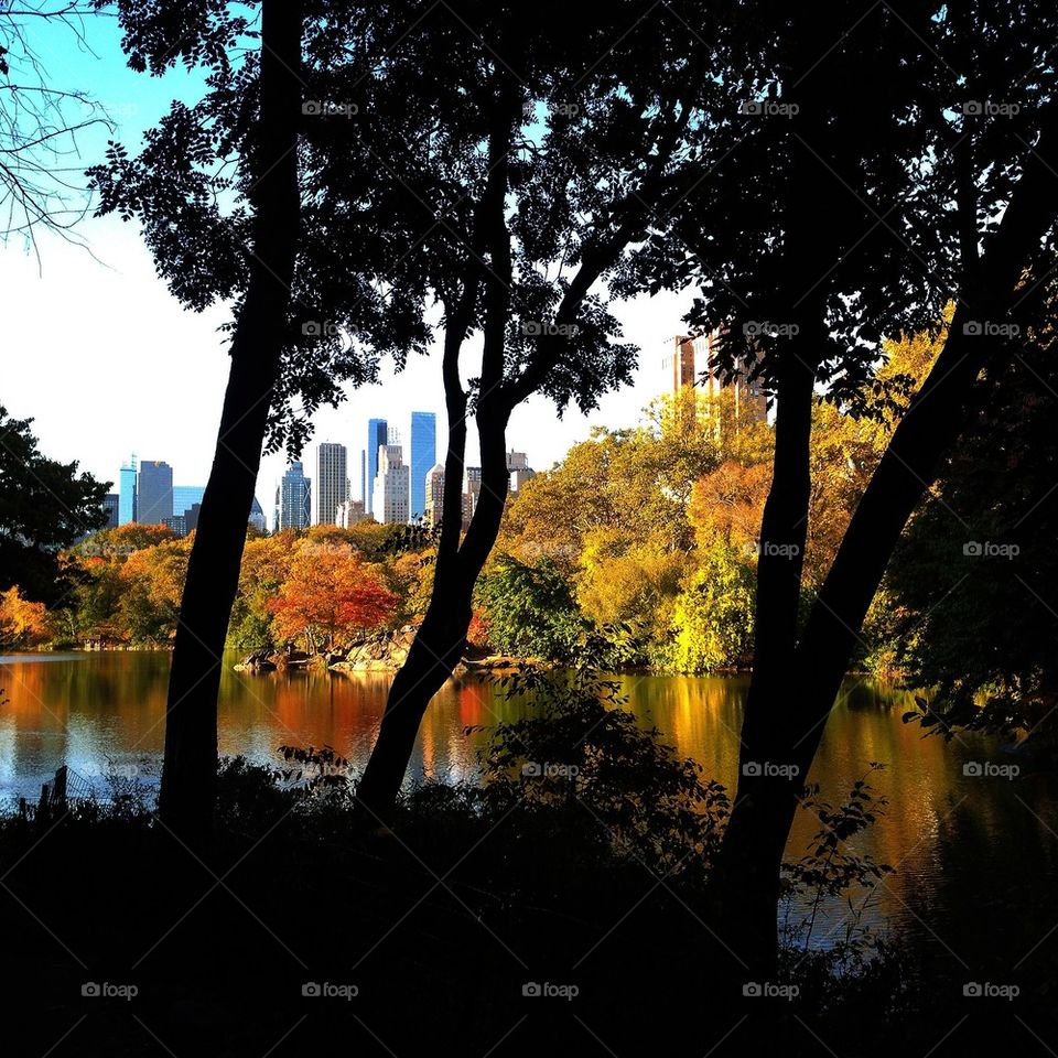 Autumn in New York 