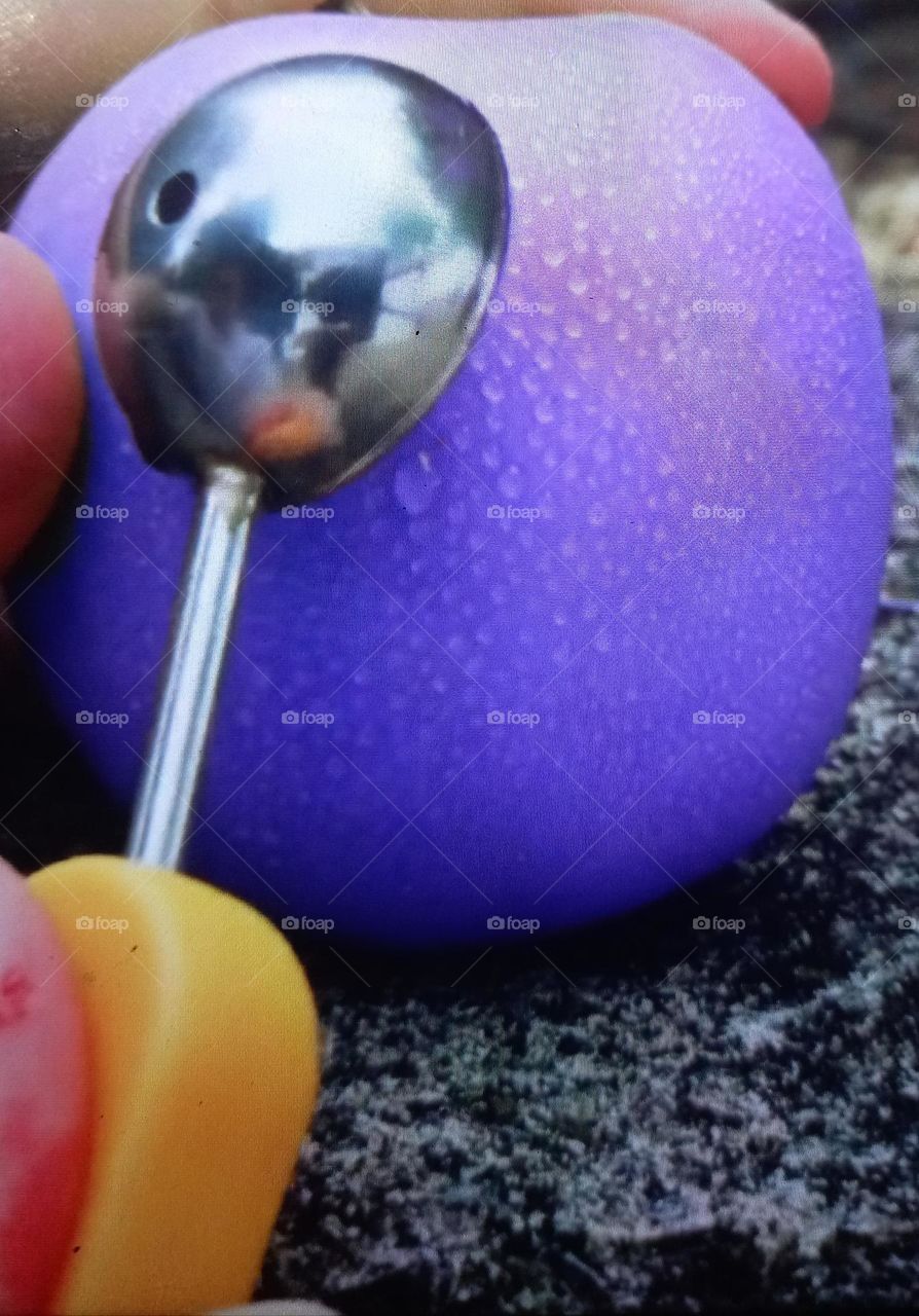 Maçã pintada de roxa.