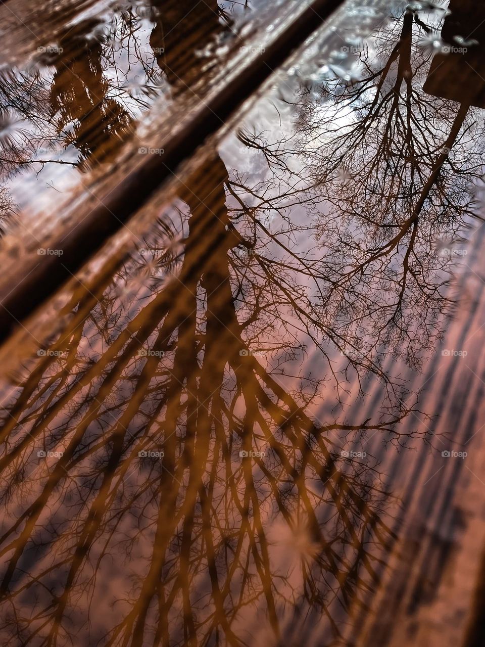 Spring showers rain storm weather puddle water reflection deck porch patio wood grains tree branch branches mirror reflection‘s mother nature Outdoors
