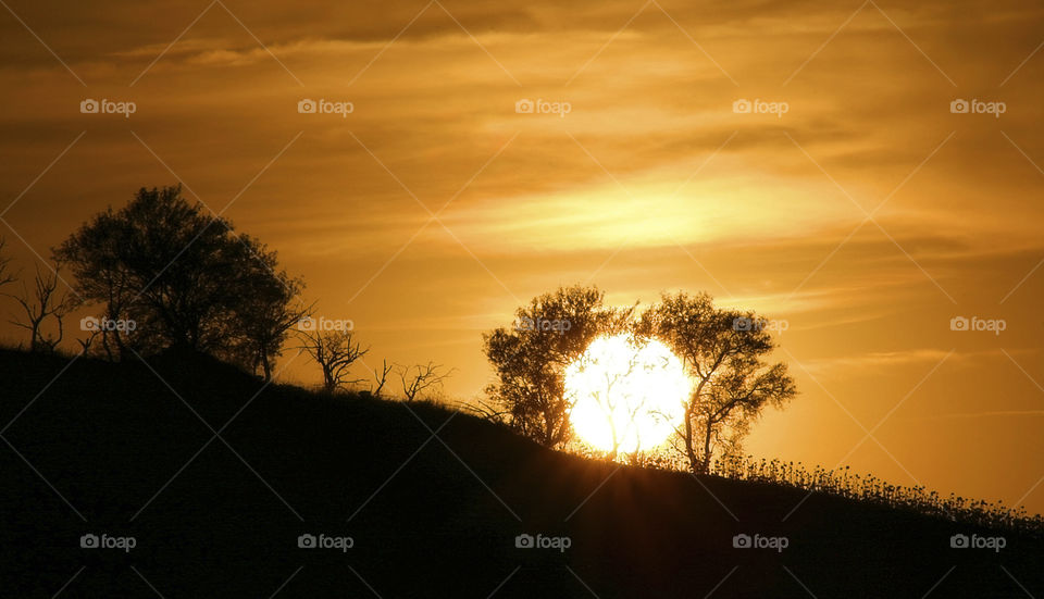 sun dawn dust brace by jregueira