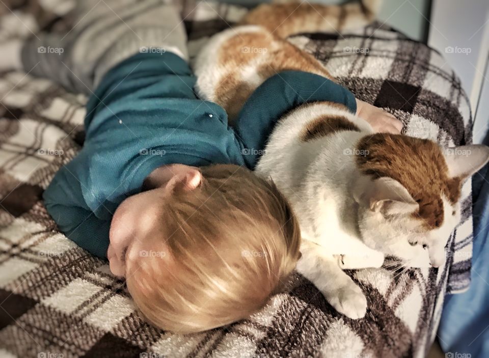 A boy and his cat 