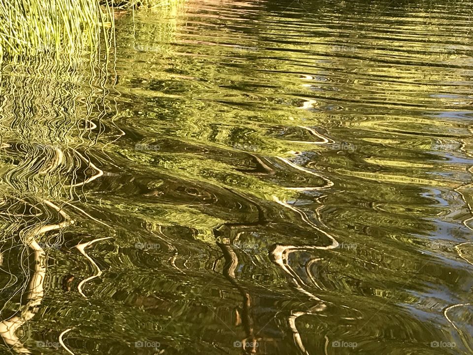 Water ripples and reflections