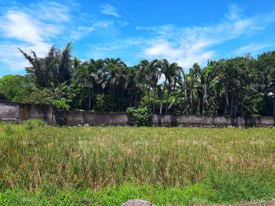 A very bright day with beautiful landscape in Spring