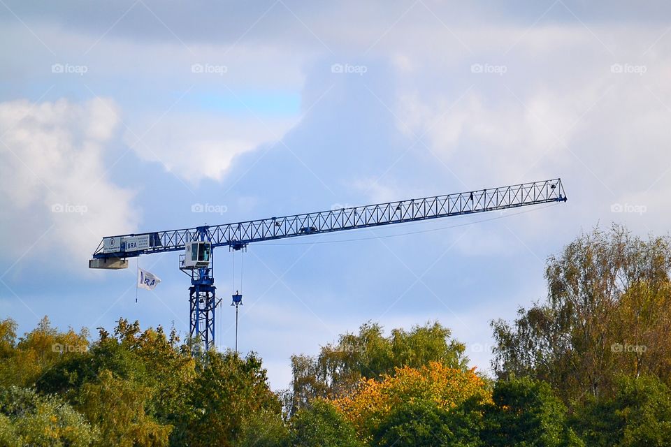 Crane