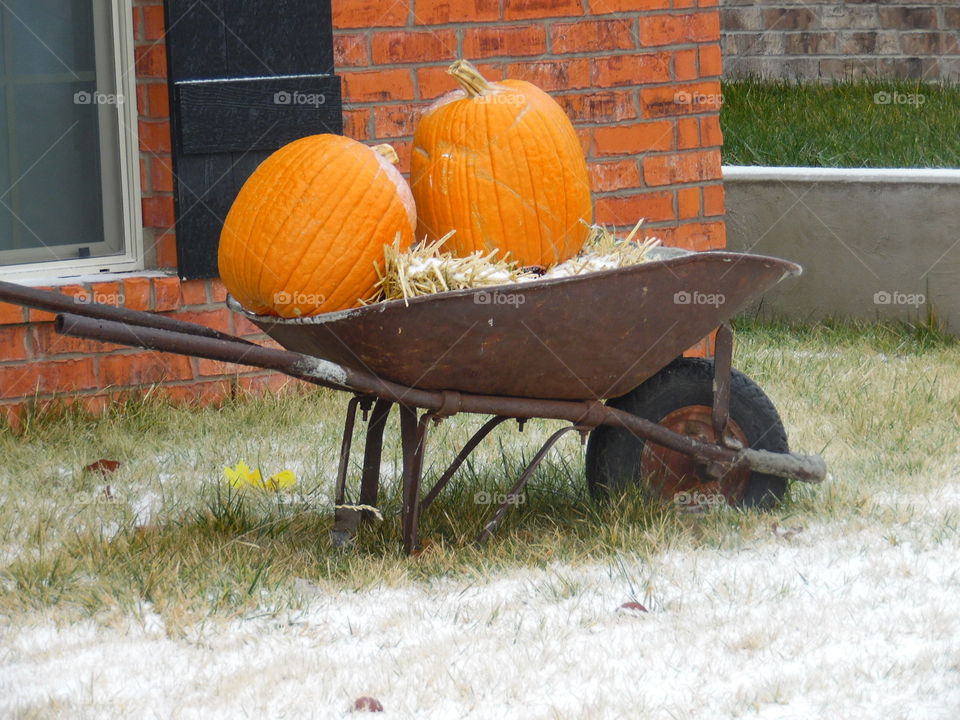 Frosty Halloween 🎃