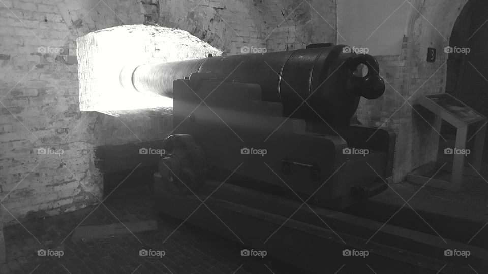 cannon grayscale