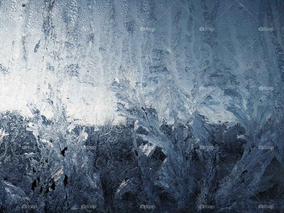 Frost ferns on window. Beautiful winter