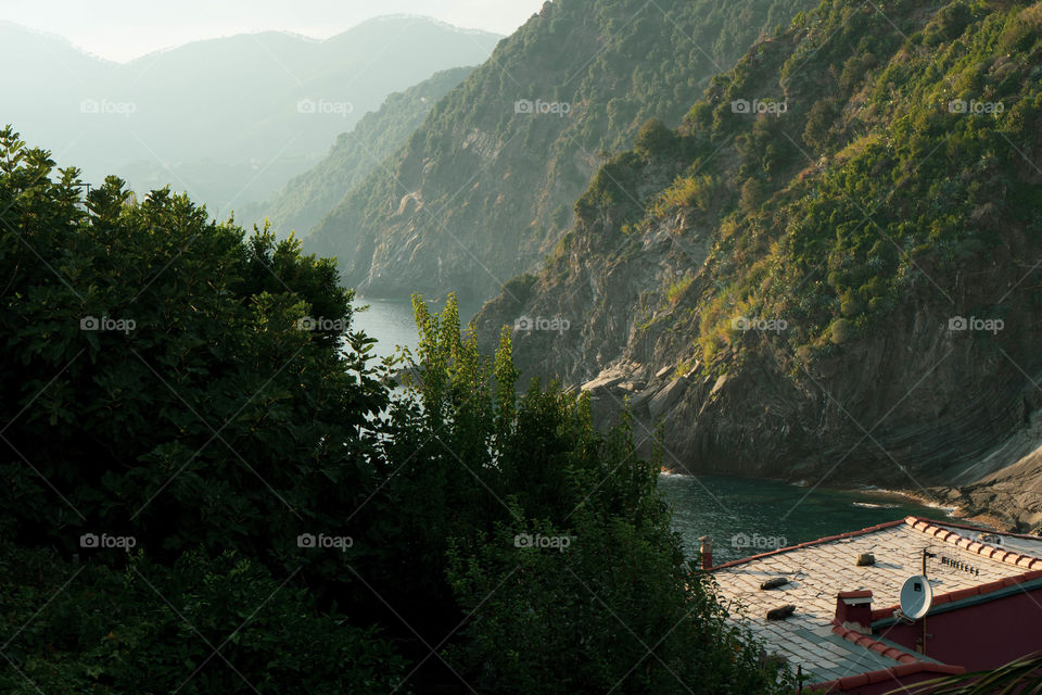 A forest with a flowing river in the center. The whole is surrounded by green trees.