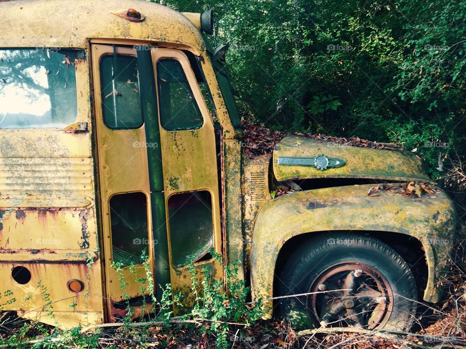 Abandoned bus in forest