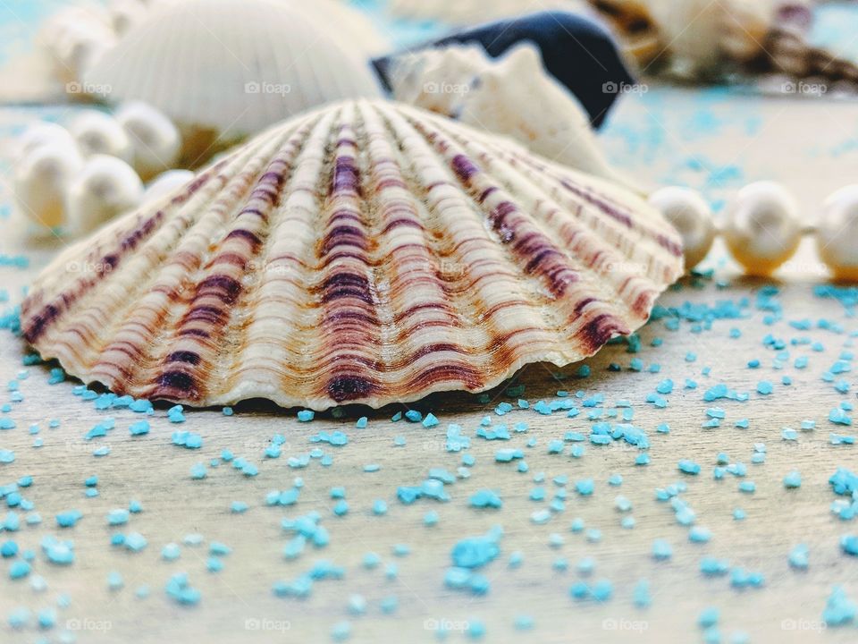 Seashell blue Sands