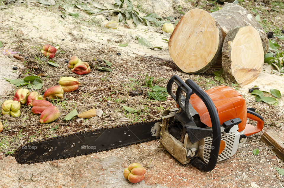 Chainsaw At Rest