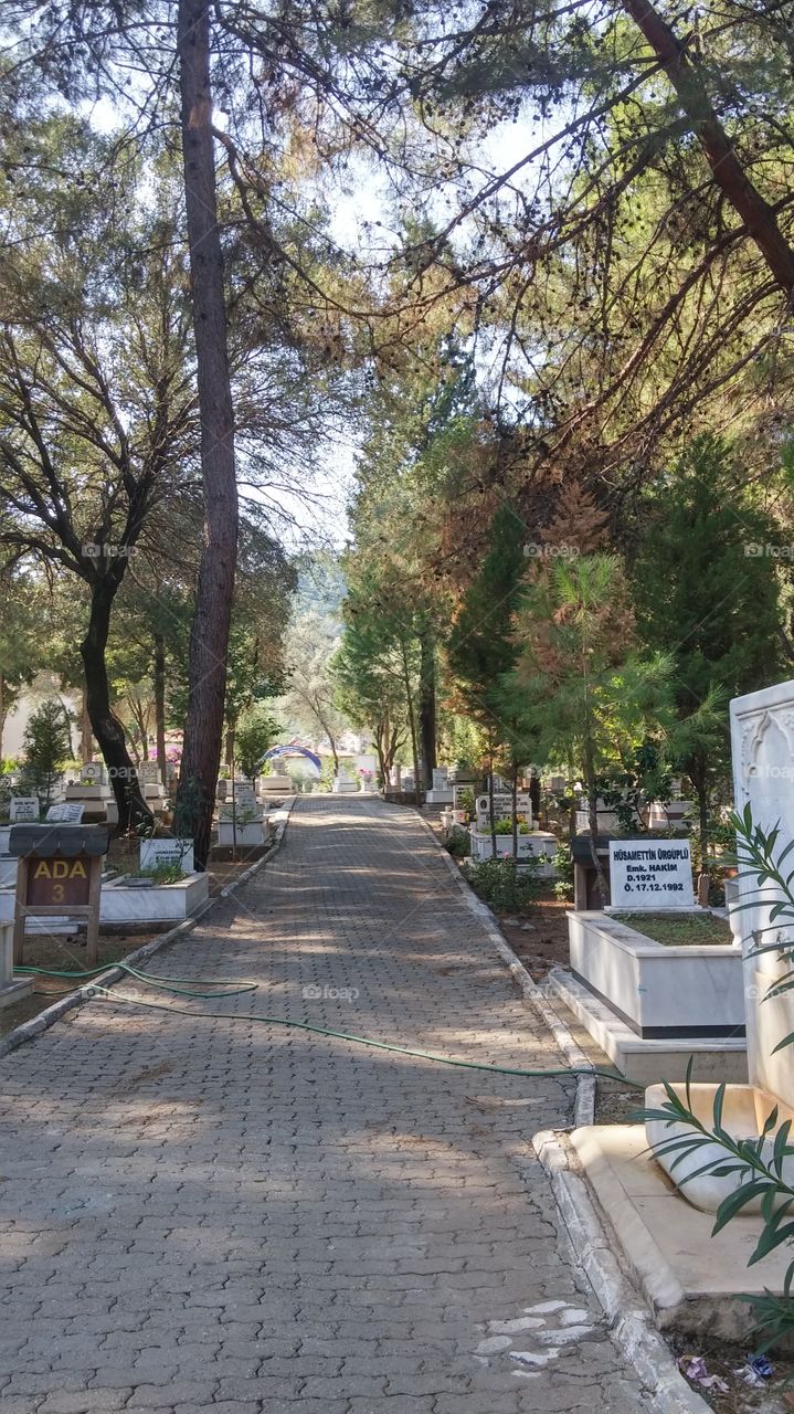 Armutalan Cemetery(2)-Marmaris