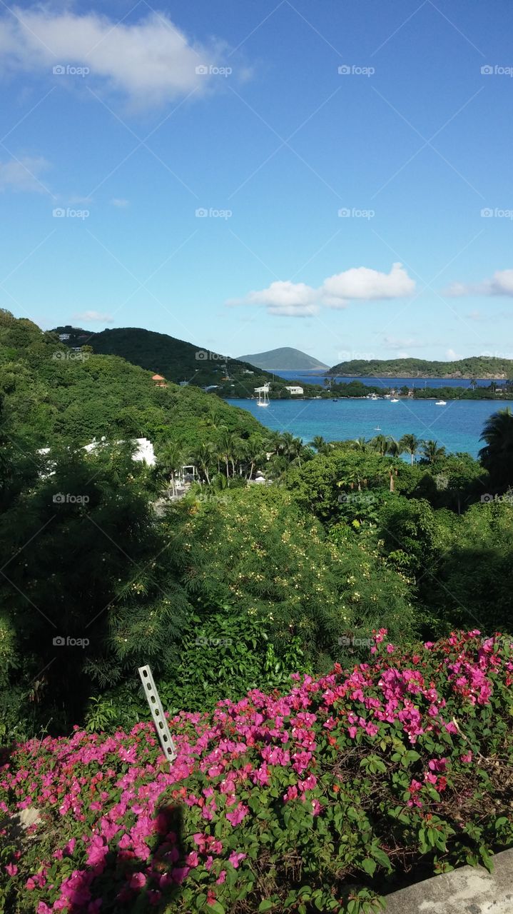 lush island and blue water. clear besutiful island day in carribean