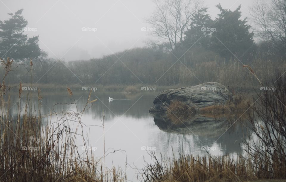 Rainy and foggy at the beach