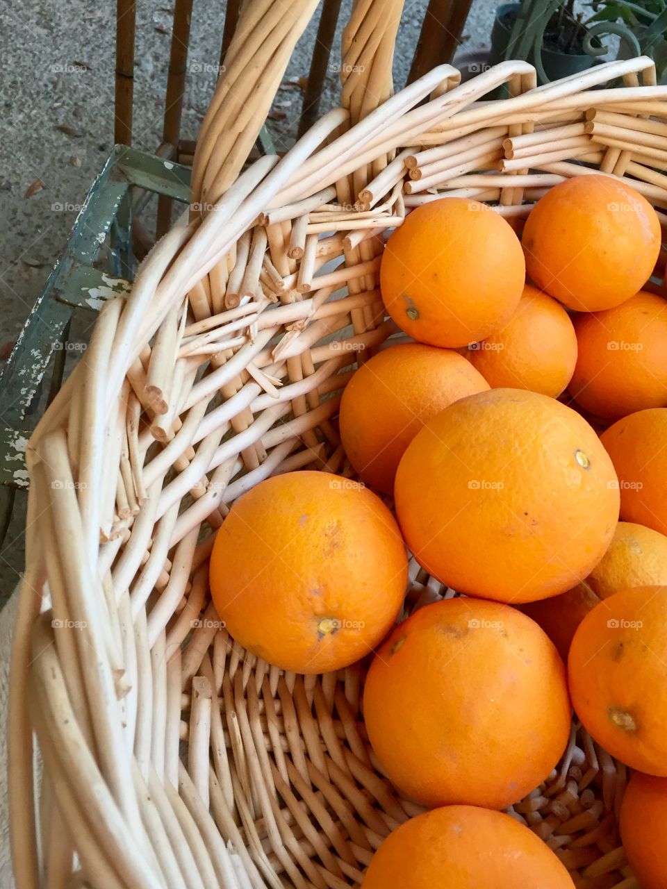 California grown oranges in wicker basket