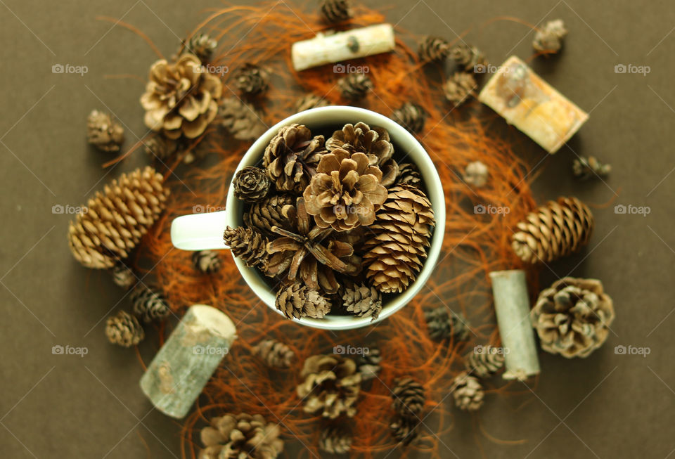 Pine Cones