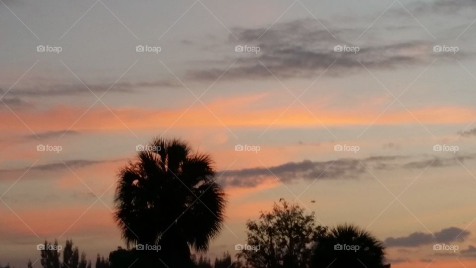 Sunrise Florida