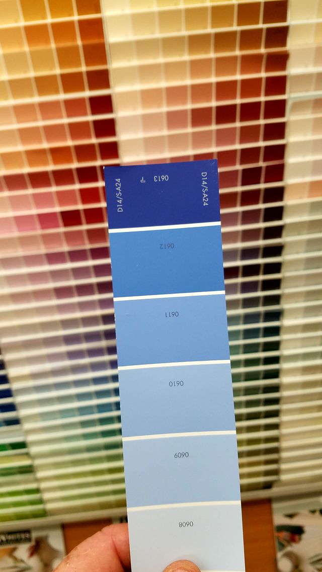 Paint Color