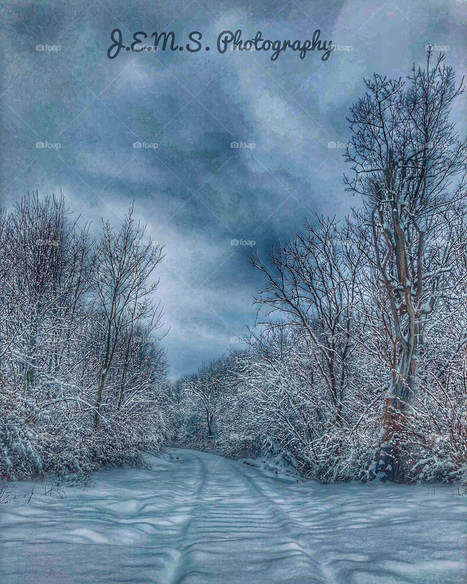 Just out snapping 📸