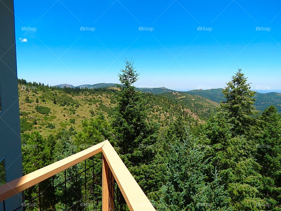 Landscape treetop view in Morrison, Colorado.