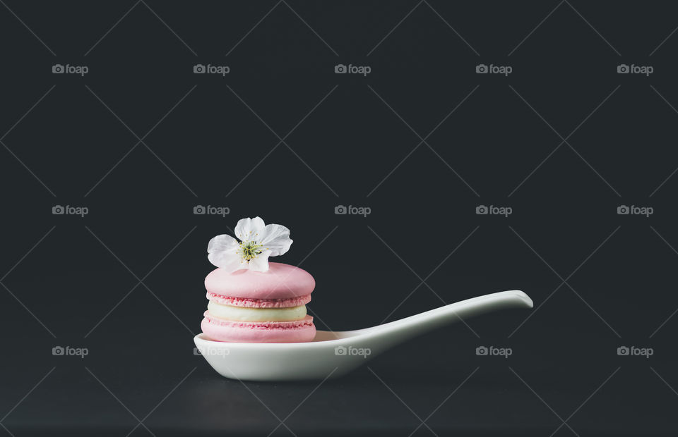 One pink macarons with white chocolate cream on plate at dark background. Copy space. Minimalistic concept. Abstract image - hope.